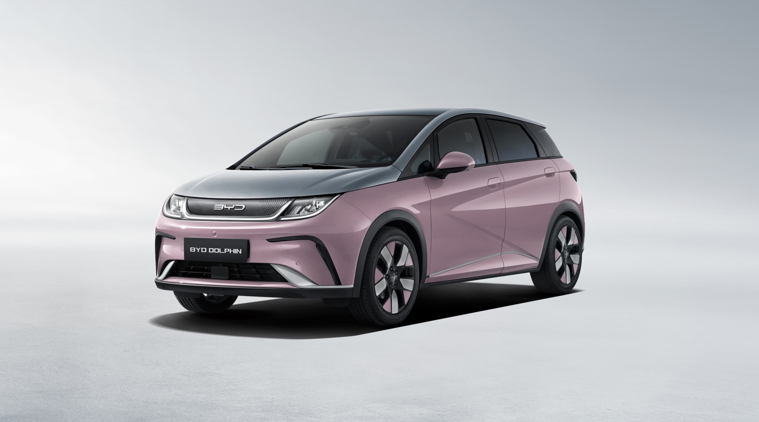 BYD DOLPHIN – Dolphin exterior CoralpinkUrbangrey xl